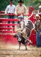 Photo 20110702-_MG_3298 from the Ellicottville Rodeo