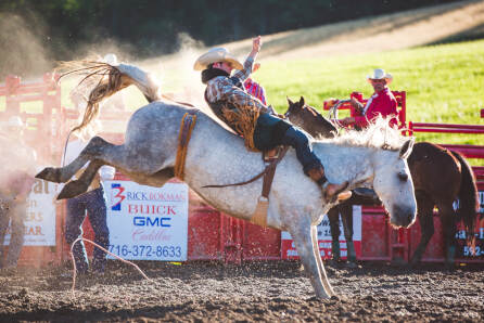 Photo _E3A3800 from the Ellicottville Rodeo