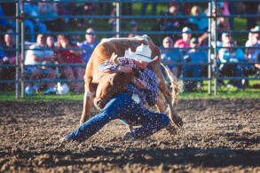 Photo _E3A3975 from the Ellicottville Rodeo