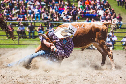 Photo _E3A7022 from the Ellicottville Rodeo