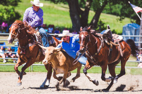 Photo _E3A7100 from the Ellicottville Rodeo