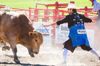 Photo _E3A8056 from the Ellicottville Rodeo