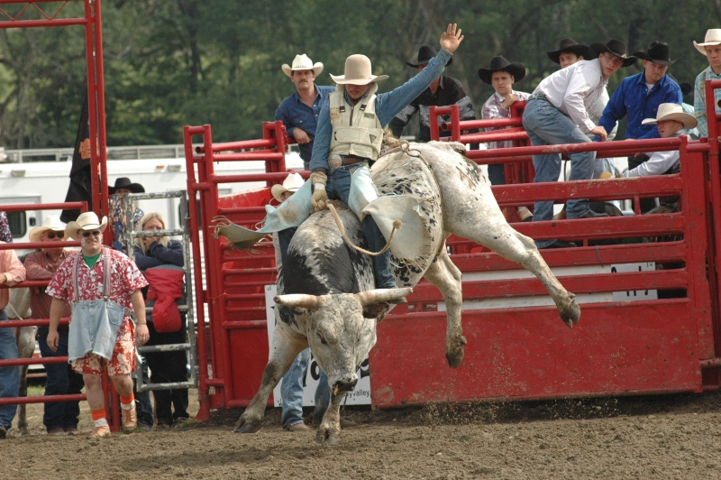 Bull Riding at the Ellicottville Championship Rodeo