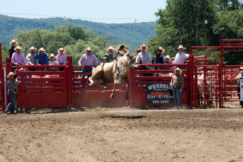 Bareback bronc riding at the Ellicottville Rodeo!