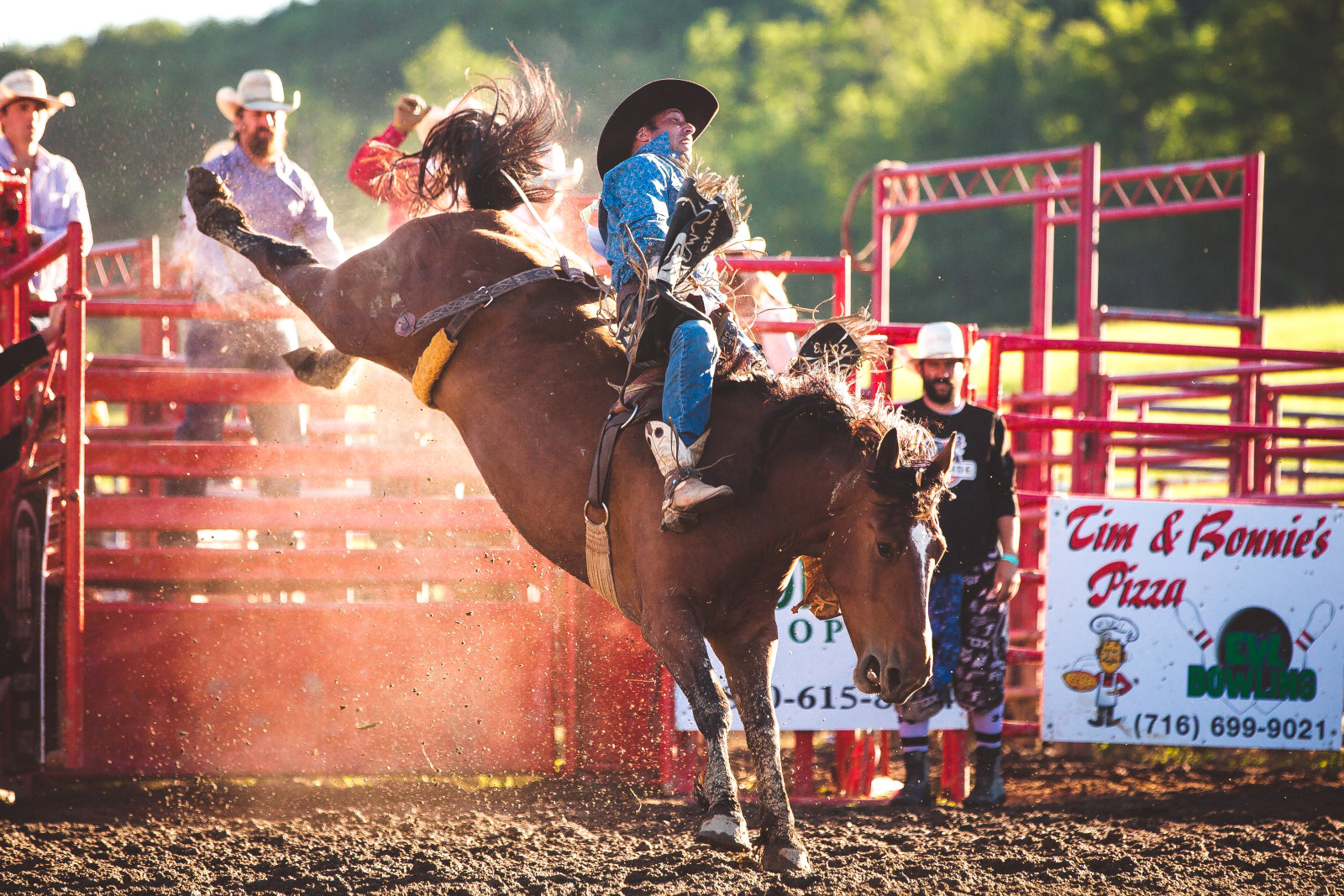 Bareback bronc riding at the Ellicottville Rodeo in July 2018!