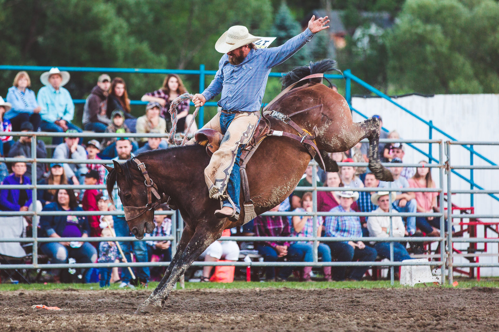 Saddle bronc riding at the Ellicottville Rodeo!