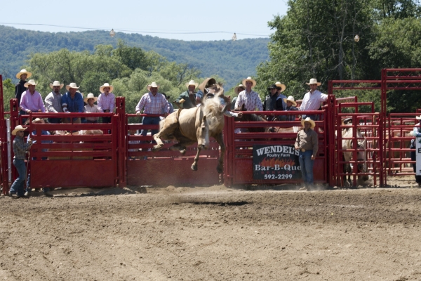 saddle bronc riding at the rodeo