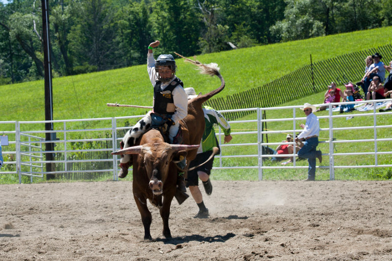 Junior bull riding at the rodeo