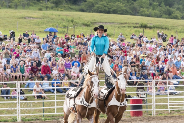 trick rider at the rodeo by Ted Martin